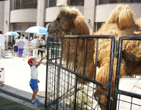 病院文化祭恒例の移動動物園